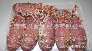 䶳޺Ϻ/ںƷϳ