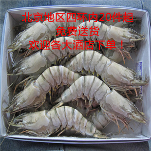 ϺϺԭװƵ4-570g/ֻ