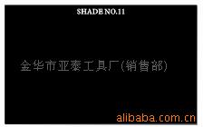 ֱ纸Ƭ