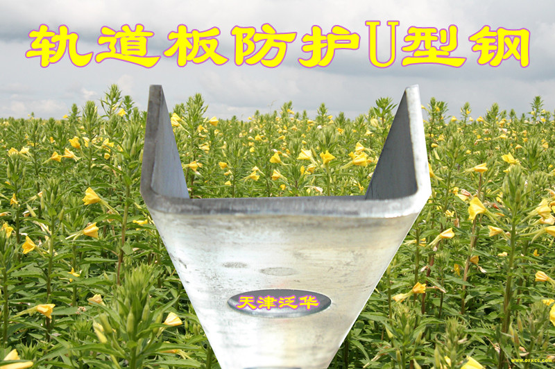 пU͸|U͸|U͸ֹ|U͸ֳ