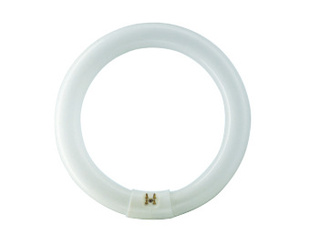 TL-EG10q׼ͻӫƹ29mmѹŵ