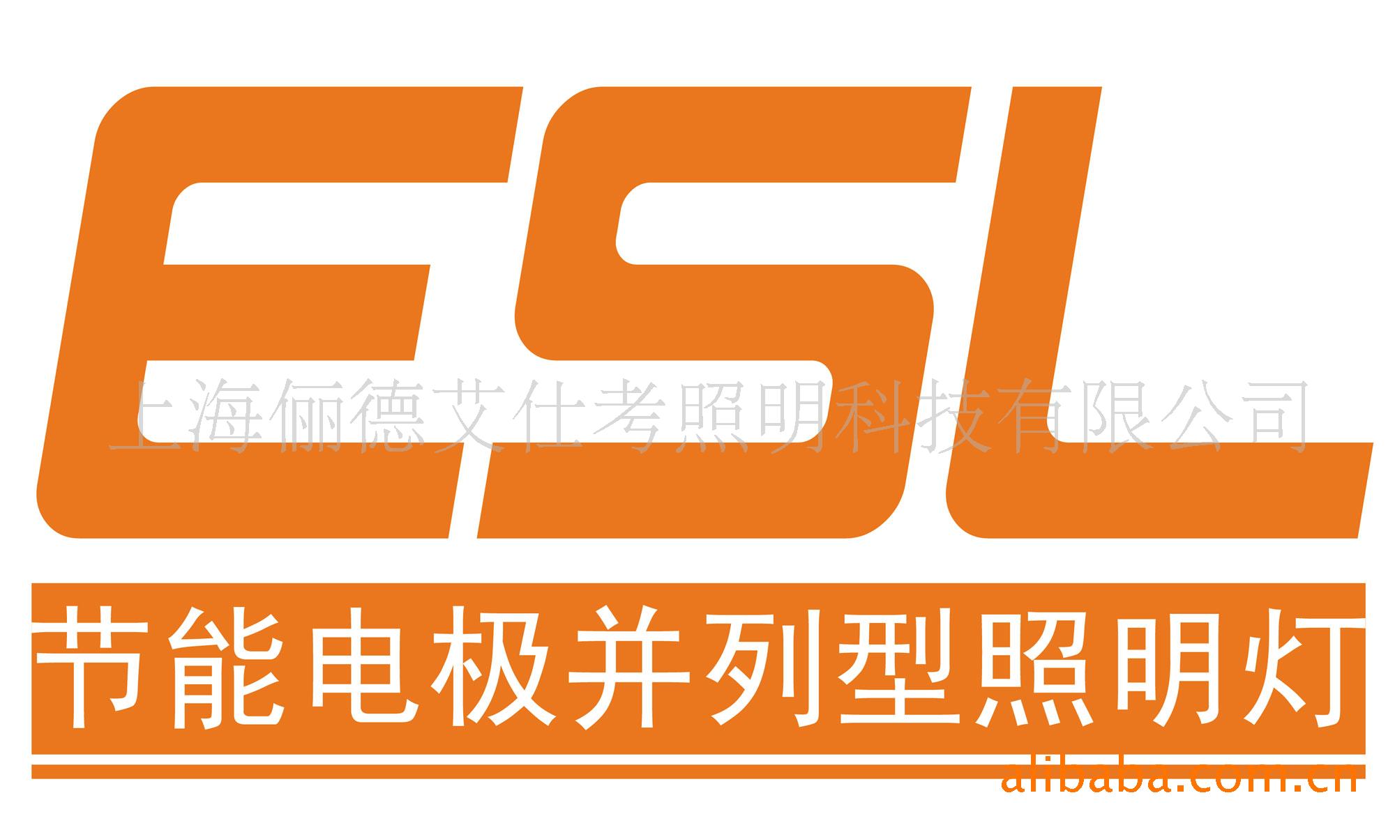 ESLܵ缫