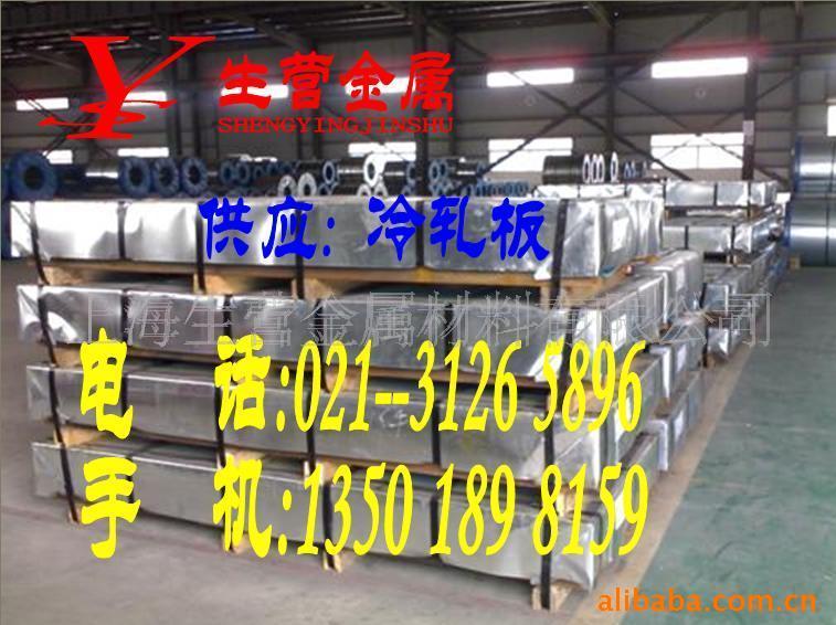 (8)021-31265896