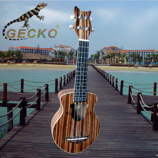 ¿ȿGuitarUkulele