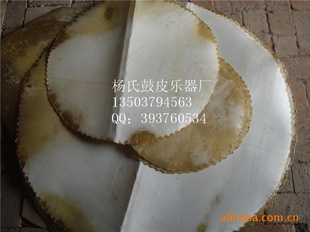 ֱˮţƤӭѯɶ18CM300CMֻ