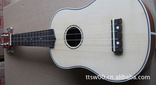 ɼ浥ȸUKULELE21Сļͯ