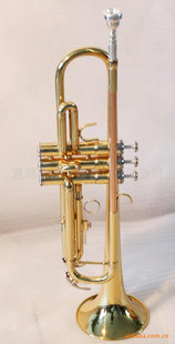 CUPIDСYTR-1517