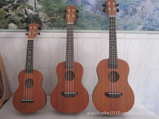 ֹ21磬24缰27UkuleleɳȫС
