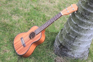 2123ȿukuleleڿؼ