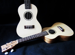 ȿＪɼľ23缪ͰUKLELE