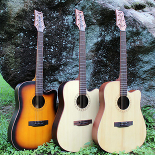 P&PPG-298ľߵľнҥ41”acousticgu