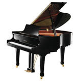 齭160P9Ǹٳѧߵ