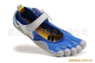 2010VIBRAMָЬ