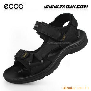 eccoƤɳ̲½ˮ