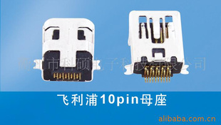 10Pĸˡֻֻͷ