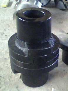 ʮֻ