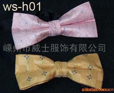 -ws-h01