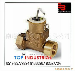 Badgermeter,,250