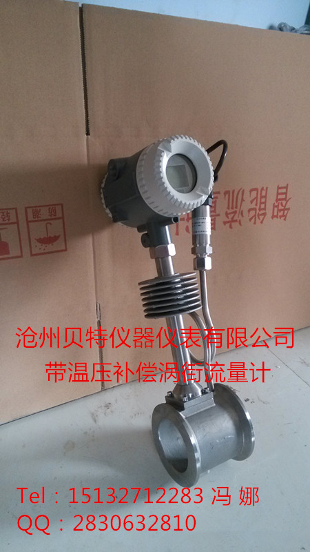 нƷװ485ͨѶDN100mm