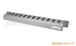 CLIPSAL߼