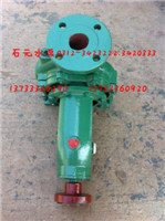 IS125-100-400ʽˮãͼ