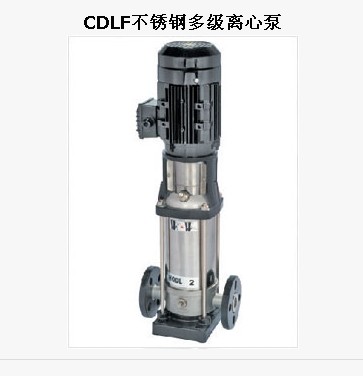 CDLFֶ༶ı/ȫʢ