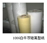100˰˫ֽ