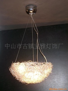 񳲵0048-5Ե˿
