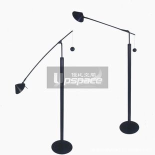 ִصModernNestoreTerraBlackFloorLampҾװε