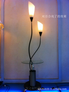 Լִ輸صƴƾִصưú