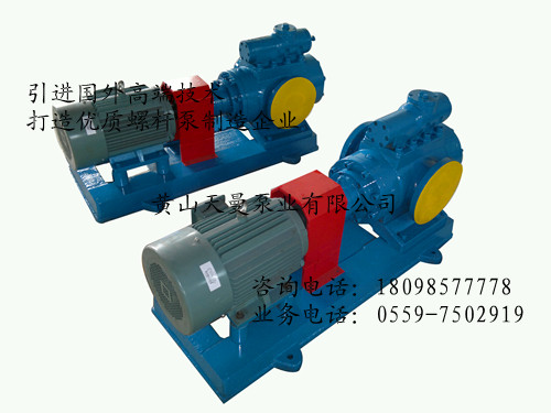 3GR50×2W21三螺杆泵燃料输送泵供油泵