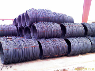 ϺƼһ021-55396901