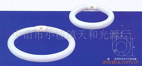 T2螺旋管,H管,2D,环型管,螺旋管