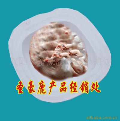 ¹Ѫ̥[