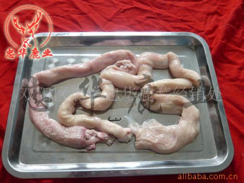 优质鹿肠子(大肠头)-忠华品牌