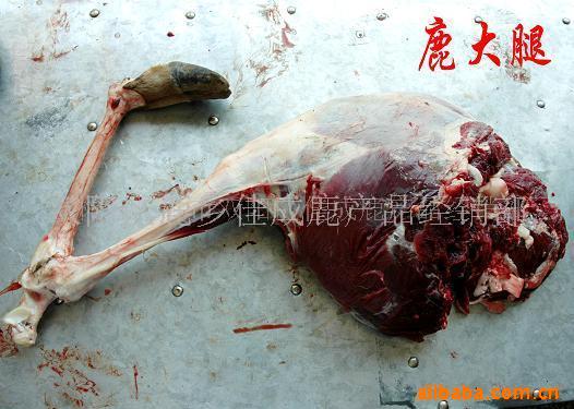 梅花鹿带骨鹿腿肉,鹿肉(图)