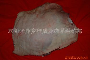 梅花鹿,鹿肉(带皮鹿腩)(图)