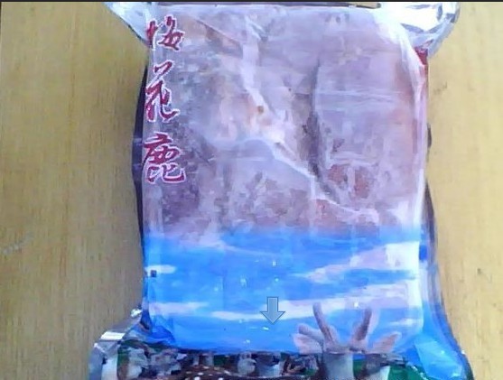 Ӧ¹