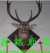 濳ͷ¹