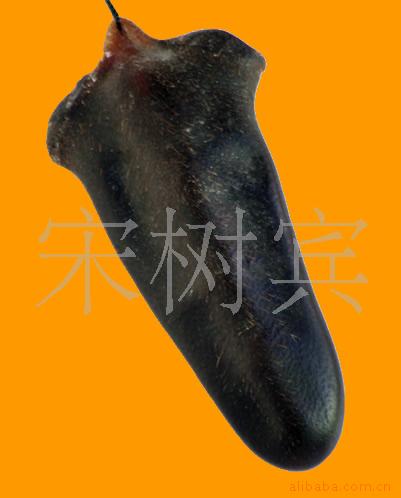 ¹.¹β
