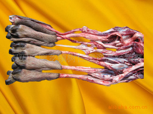 Ҵ÷¹