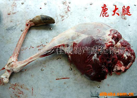 梅花鹿带骨鹿腿肉,鹿肉(图)