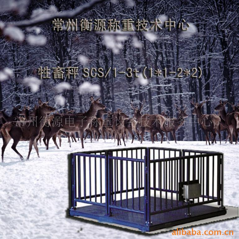 ޹⹷¿¹ţ⼦ڳ