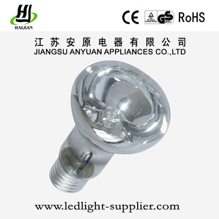 Ҵ±صR63110-240V40Wհԭ