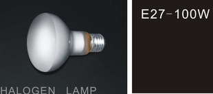E27±ٵ100W