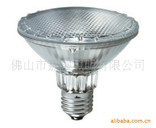 Par3050W-100W220V-240V10D/25DE27±ص