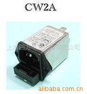 ˲CW2A