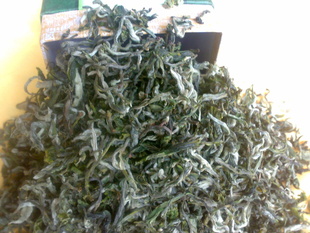 2012̲´ն̲