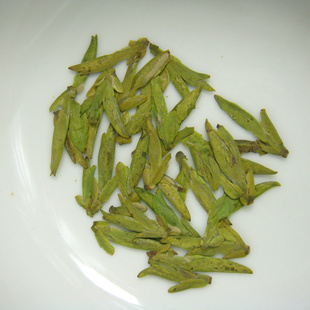 2013ţֱŨ̲