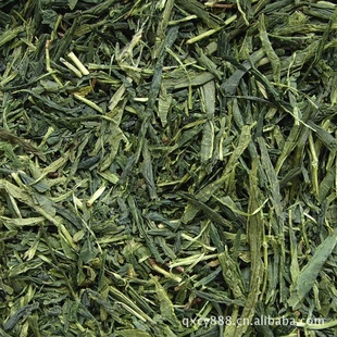 NOPŷл̲Sencha